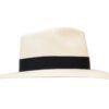 Australian Paja Toquilla