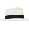 Australian Paja Toquilla