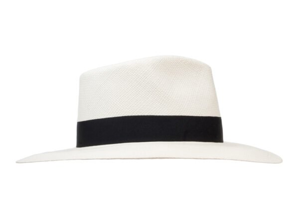Australian Paja Toquilla